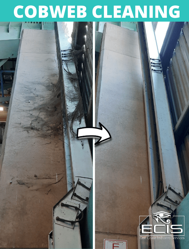 Before & After representation of a Factory with cobwebs that had High Level Cleaning done