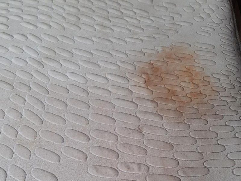 Mattress Cleaning Before Steam Cleaning