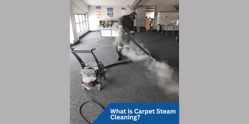 Technician Cleaning a Carpet using Steam with the dirt visible in the recovery tank