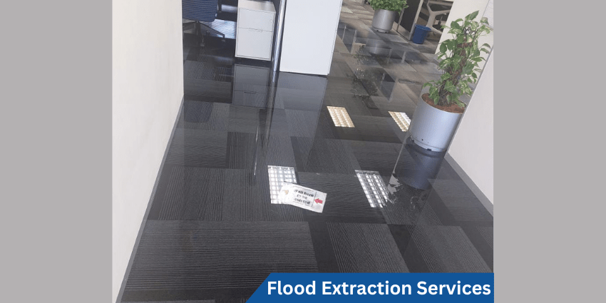 Flood Extraction Services