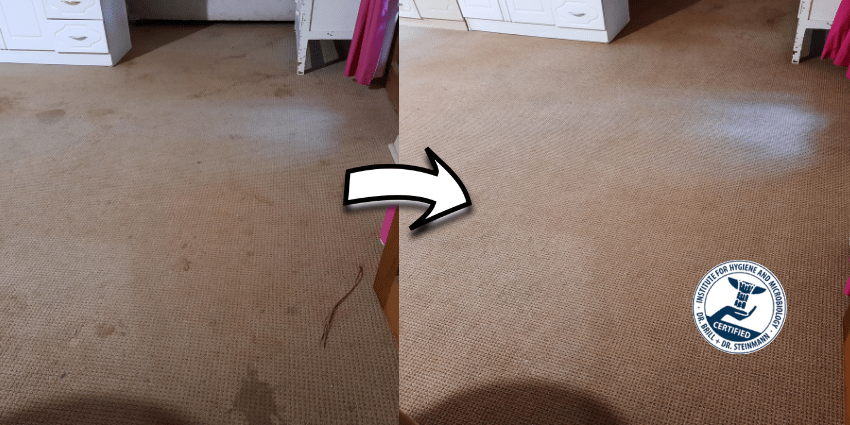 DIY Carpet Cleaning Pro's & Con's 