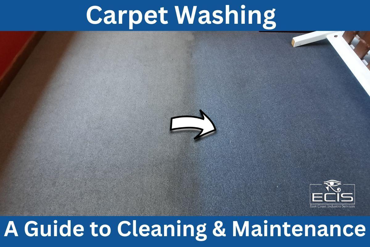 Carpet Washing Guide Ultimate Tips for Clean & Fresh Carpets