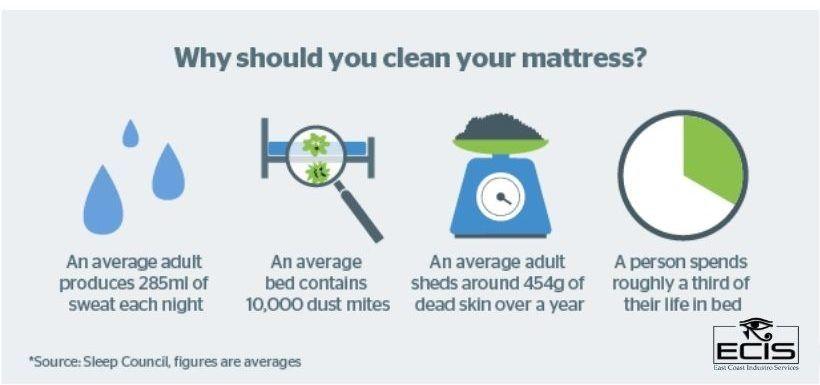 Mattress Cleaning Facts